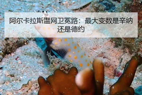 阿尔卡拉斯温网卫冕路:最大变数是辛纳还是德约
